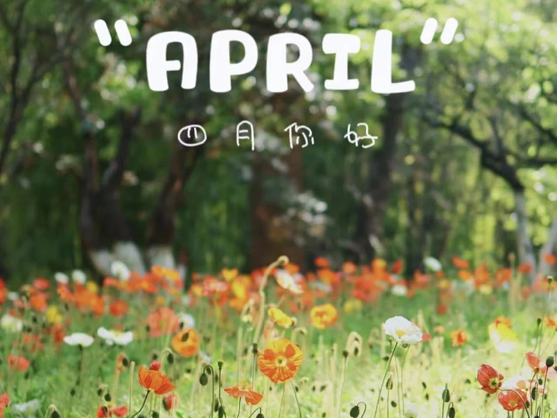 Beannachtaí lá breithe丨Lá breithe shona dóibh siúd a rugadh i mí Aibreáin